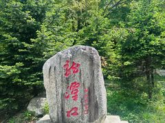 -朱雀国家森林公园