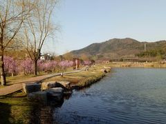 -石塘人家