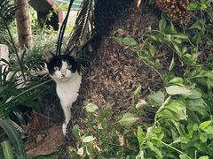 -星巴克(宁波老外滩店)