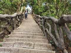 -梧桐山风景名胜区