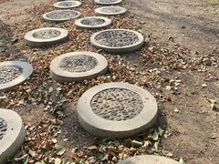 -西安浐灞国家湿地公园