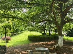 -南华大学(红湘校区)