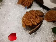 冰镇活鲍鱼拼三文鱼-翠府(翠湖北路店)