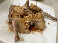 -百利鸽王(紫薇路店)