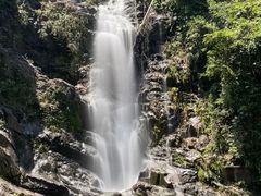 -鼎湖山风景区