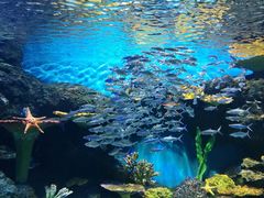 -华夏文旅海洋公园