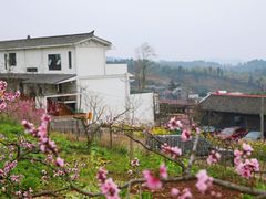 -观清澜疗愈民宿(龙泉山风景区店)