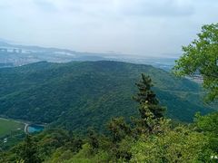 -惠山国家森林公园