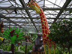 -南宫五洲植物乐园