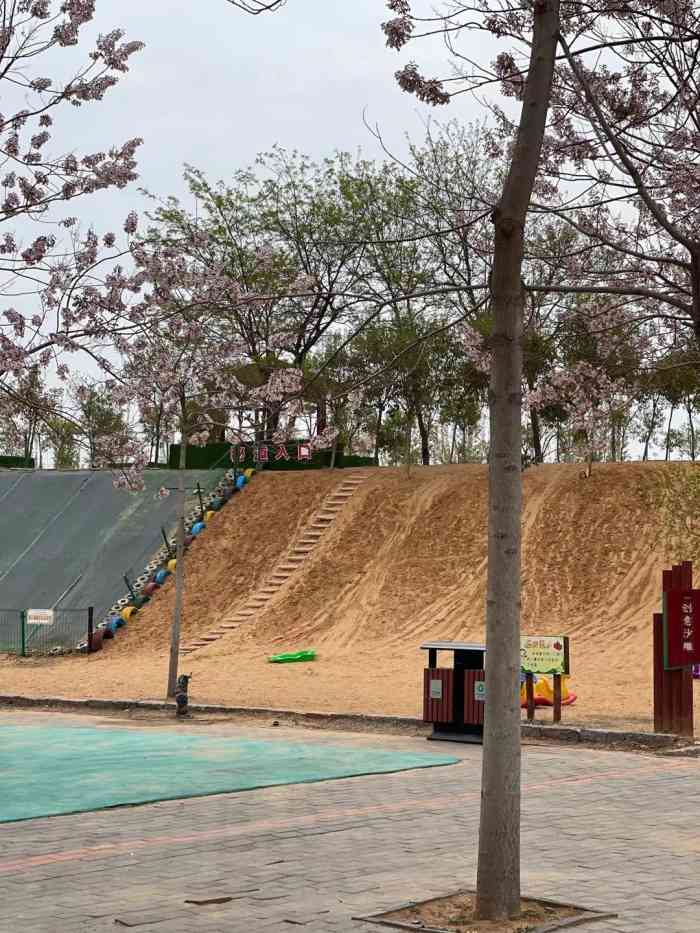 郑州晨明生态园-"几个家庭一起出游有树荫孩子跑着玩我.