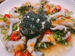 青青椒麻蒸鱼-舒味姜母鸭·沙茶面(湖里店)