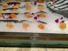 -芭菲盛宴·环球美食(袁家岗店)