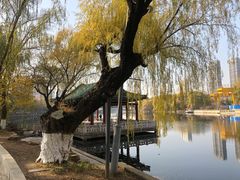 景点-沈阳南湖公园