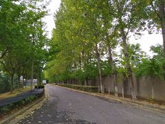 -南京医科大学(江宁校区)