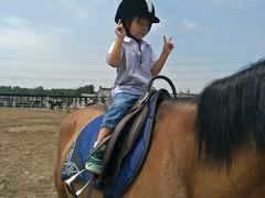 -月河湾马术俱乐部(朝阳店)