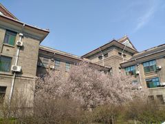 -山东师范大学(千佛山校区)