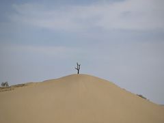 -黄沙古渡原生态旅游区