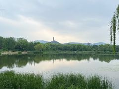 -北坞公园