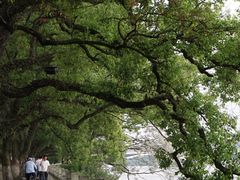 -桂林两江四湖景区