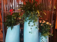 -润园四季椰子鸡火锅(海上世界店)