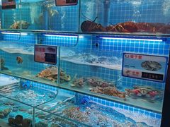 -鸽子侯·家宴·平价海鲜(市图书馆店)
