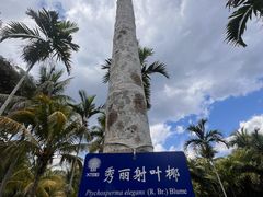 -中国科学院西双版纳热带植物园