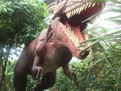 -呀路古热带植物园