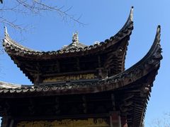 -长广溪湿地公园