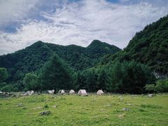 -狮子沟牧场