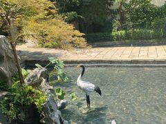 -广富林宰相府酒店·水云间
