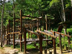 -龙湾潭国家森林公园