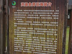 -洪湖湿地生态园