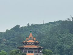 -顺峰山公园
