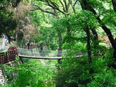 -素山寺森林公园