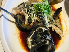 清蒸石斑鱼-人杰鱼乐轩(珠江路店)