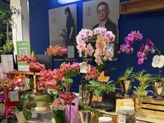 -弗劳尔花艺坊(龙涛店)