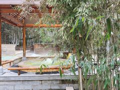 -春晖园度假酒店温泉