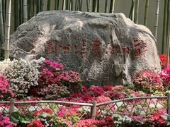 -上海醉白池公园