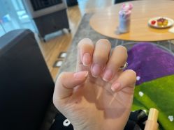 -BELLAREAL新美社