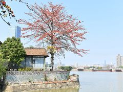 -喜洲吧·江畔老船厂·庭院餐厅(喜临院店)