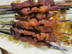 羊肉串-高原第一家资格烤羊肉(玉林南路总店)
