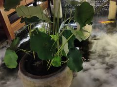 -三只耳火锅(宽窄巷子店)