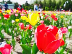 -长春公园(普阳街道)