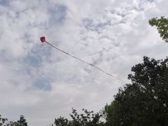 -上海滨江森林公园