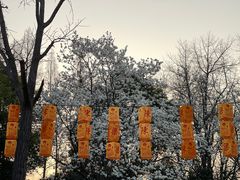 -白鹭洲公园