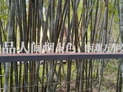 -云溪植物园
