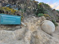 -摩拉基大圆石