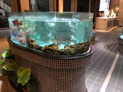 -观澜湖酒店·邀月庭中餐厅