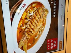-阿五黄河大鲤鱼(建业路店)