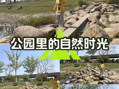 -昆山城市公园